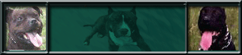 APBT-Club
