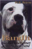 Bandit